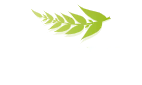 Logo Klaus Nagel
